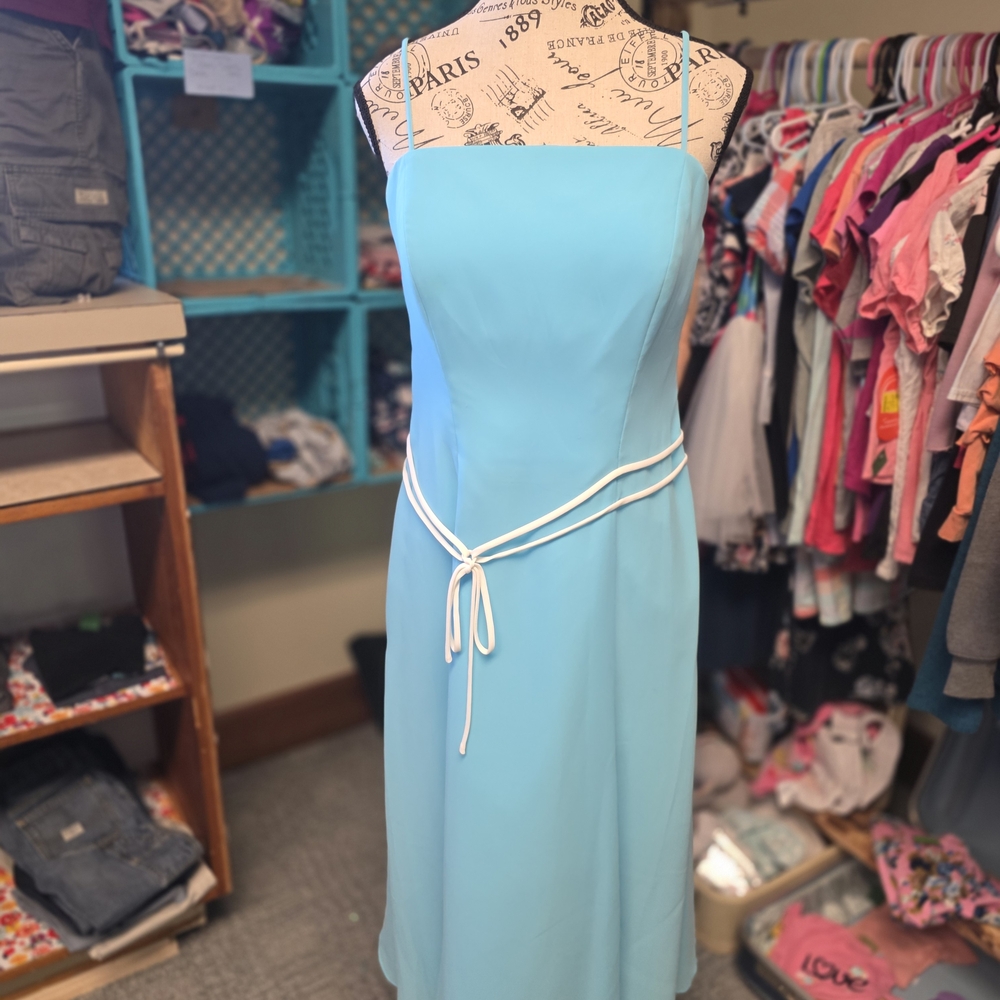 Vintage Elegant Blue Sleeveless Dress with White Accents